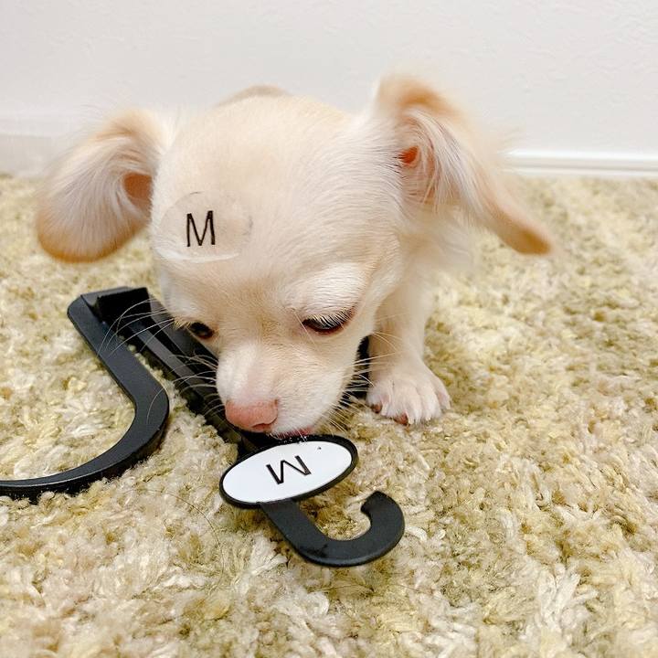 B5d8944f 737a 4fb1 a3fd 536b5cedd788 1597049007067