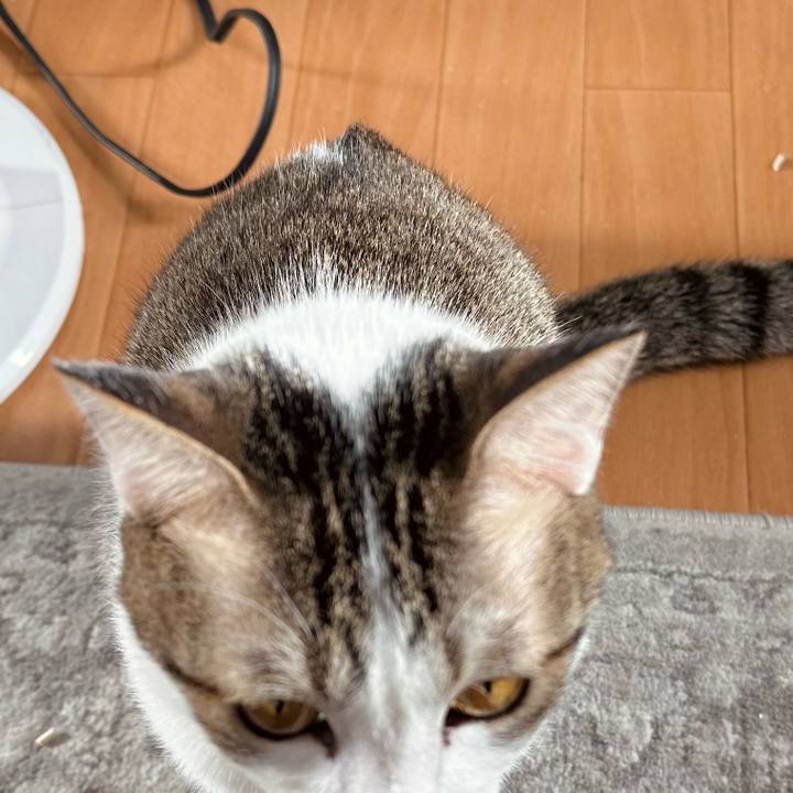 B5d894dd d3ab 469a 8573 5d1f3b99caf5 1773732169018