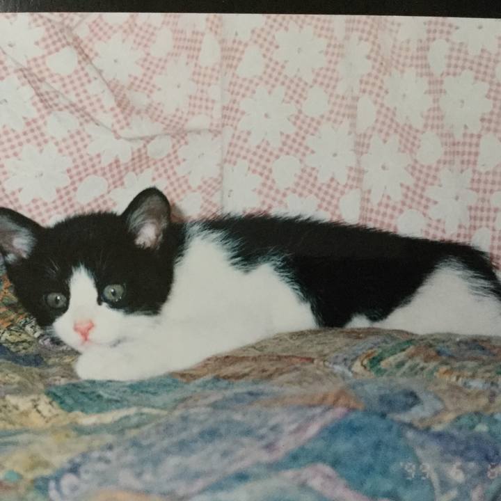 B5d8956c 3759 423b 8daf 576a18dde8eb 1515288965923