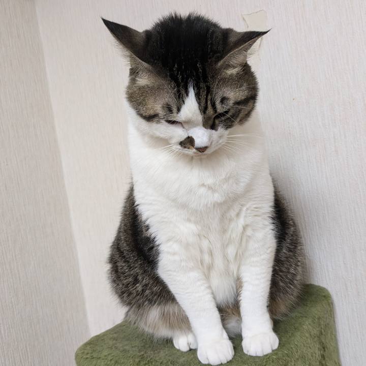 B5d899d9 377b 450b 93d9 0bd92b66edc1 1734127890313