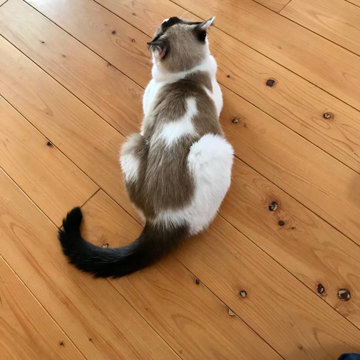 B5d8abbb ffb6 421b 940a 511e64d21321 1600994340895