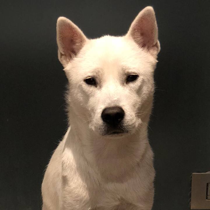 B5d90148 d485 4f6f be8f fc3f2ef962a5 1539860521024