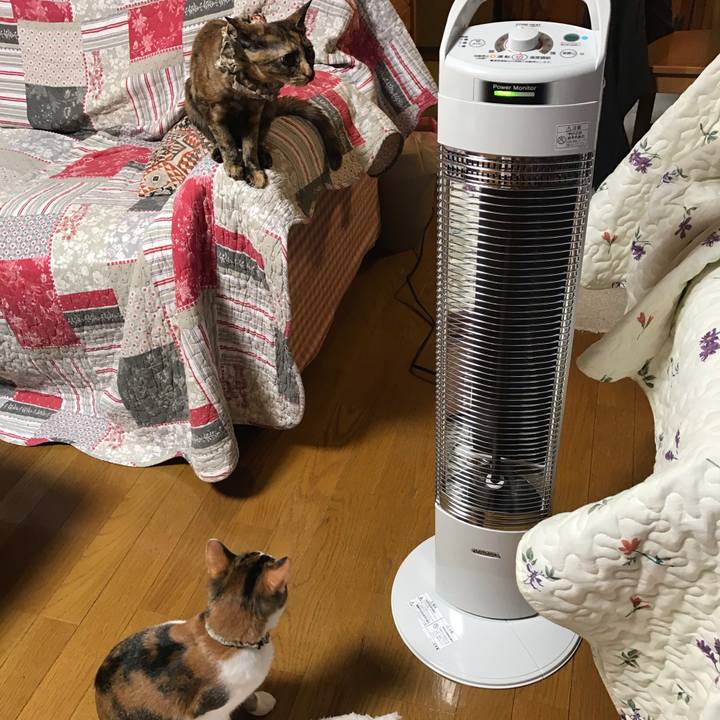 B5d9326f dbd0 424a b2ef 5e2cf1261717 1608327607136