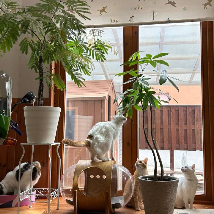 B5d945f7 7461 4875 b8f1 2f2de4b8083d 1685077191849