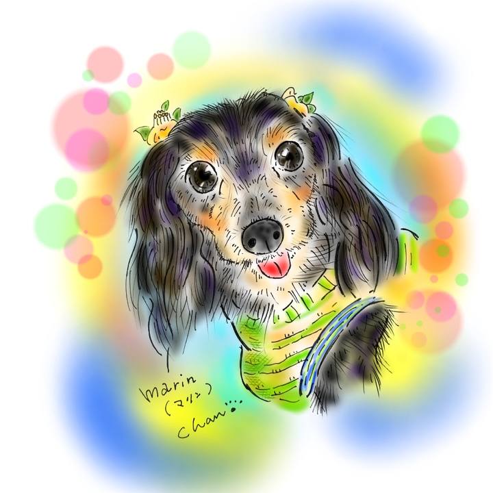 B5d96147 f85a 4b56 beaf 74798abef047 1594396201536