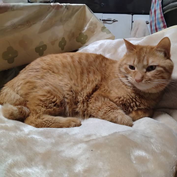 B5d9b010 6434 42a3 bdb6 0b6295a380dd 1706001658325