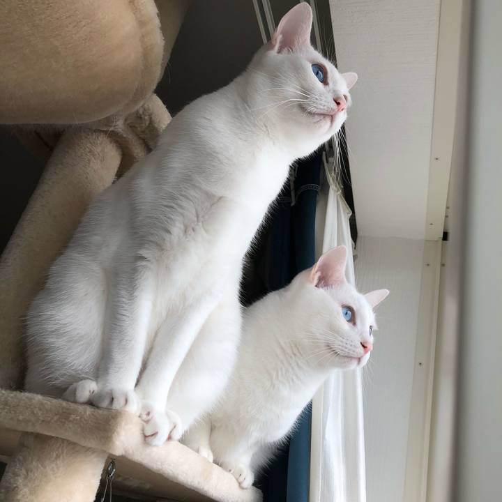 B5d9b112 4749 406a 9c5e 893f514b0f96 1515643630704