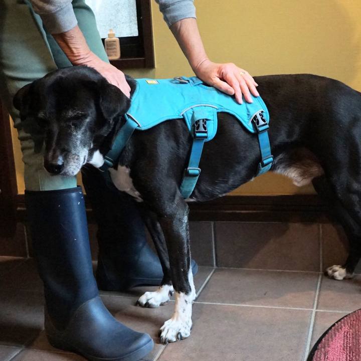 B5d9c9a6 e9b1 4104 be89 4220f3d860b2 1761349750587