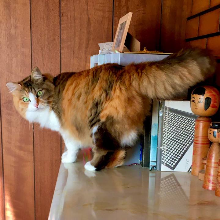 B5d9dd01 40df 4d98 9847 b91d794b2f49 1574046349322