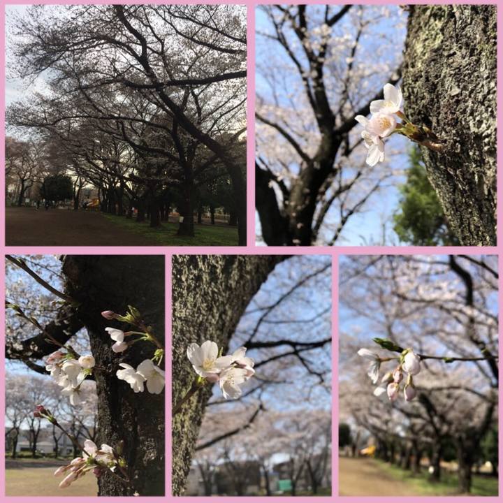 B5da06b7 5ae9 4943 af7f dd48258ea78f 1521952565082