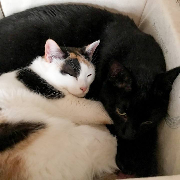 B5da1b96 fb29 4210 99fa c76e3278b560 1516720197910