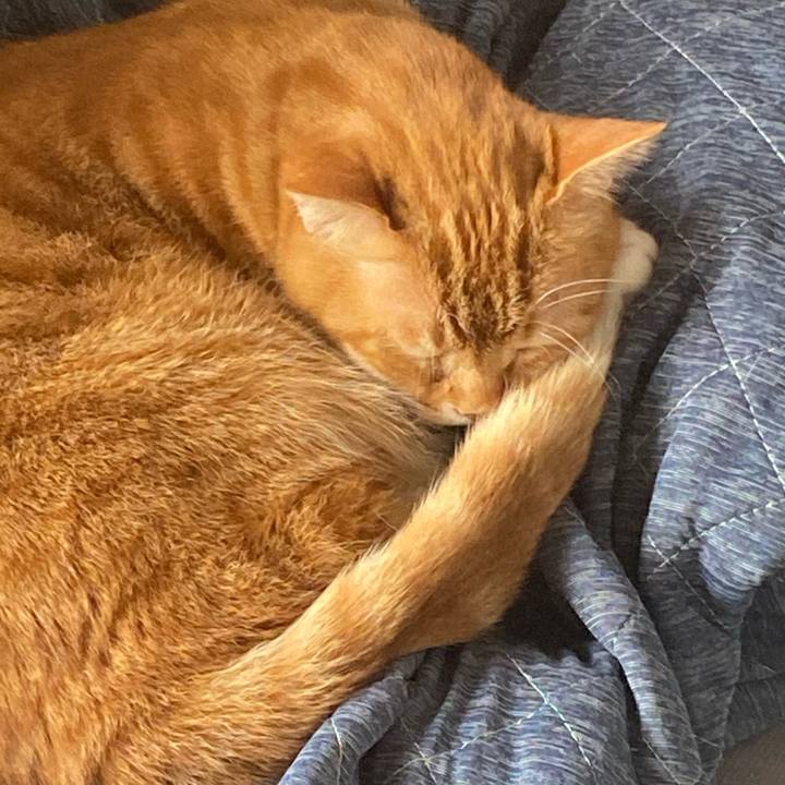 B5da2ba7 9f04 4565 8b6b c486457c3022 1623543751564