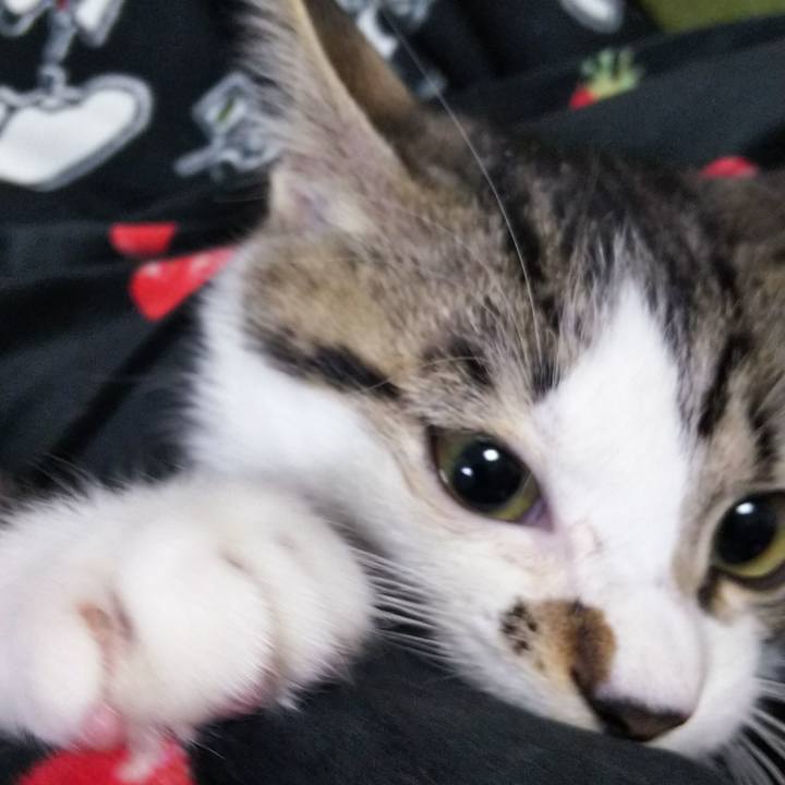 B5da7e63 fd04 4e65 b527 74785d398835 1610027217782