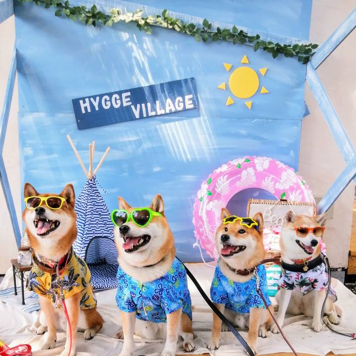 B5daa2ee 5f23 41e0 a64c 8100bffe2ccb 1627195635539