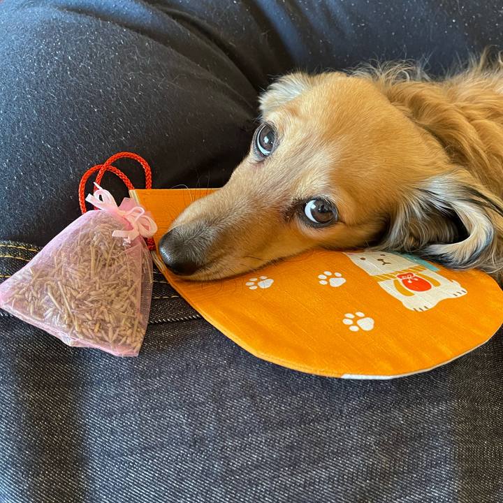 B5dab6c4 d37b 4b73 bf46 c96e631e9e82 1739777741652