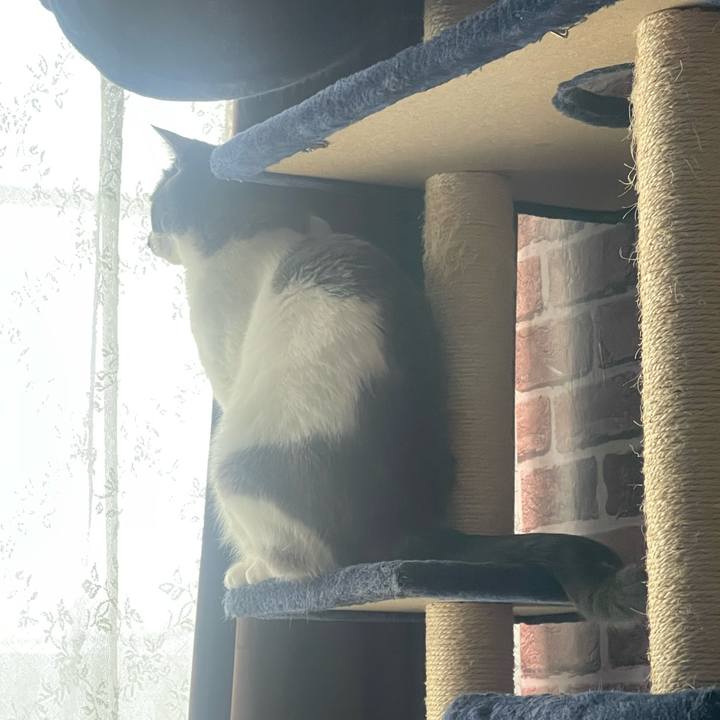 B5dac553 7380 4ad0 9173 874db74b66da 1650237772237