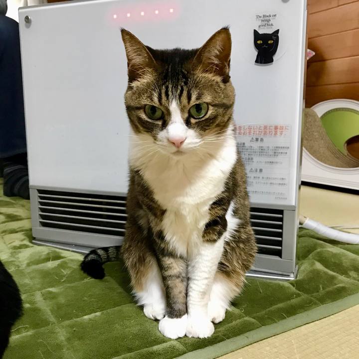 B5dafd73 42f0 43ba ac9b f65a47be5775 1521599466230