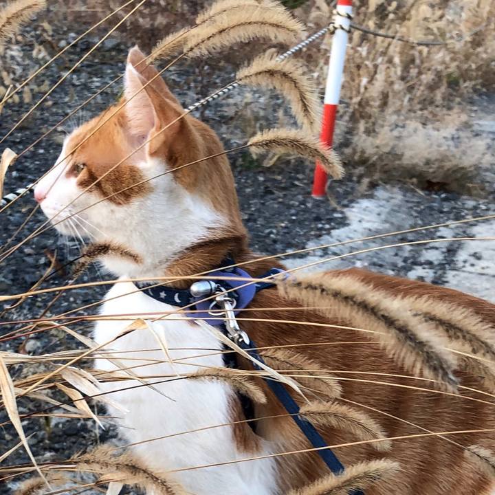 B5db1342 b87c 4383 a48c 3afa84c0581c 1543309439642