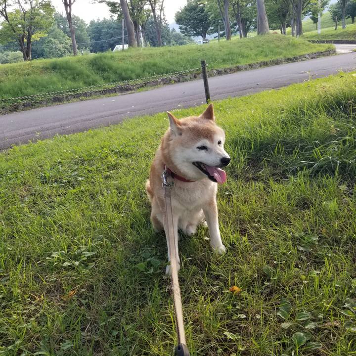 B5db1753 f95a 4c35 860a 8e3ecbe53e36 1720340829334