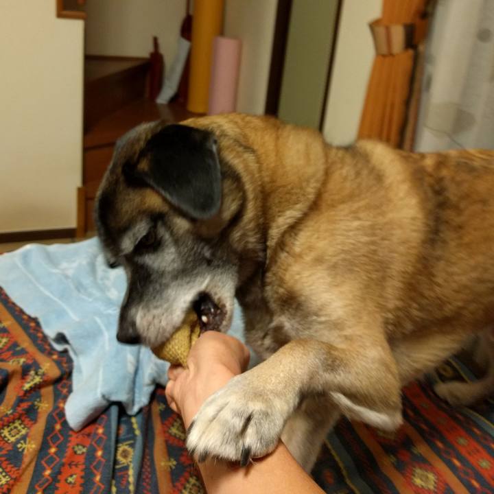 B5db2889 80d8 4e0f a956 15efdaadba20 1690675445725