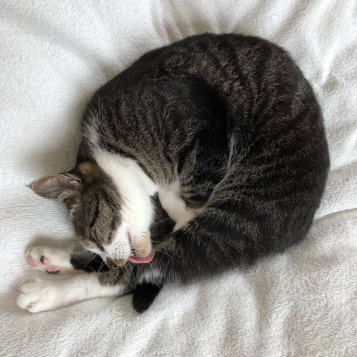 B5db4374 6193 44e7 aa10 3d8fb781beb7 1522989146422