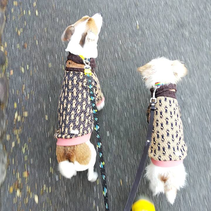 B5db9038 41b1 48ae b396 3b893847fa9a 1541251178137