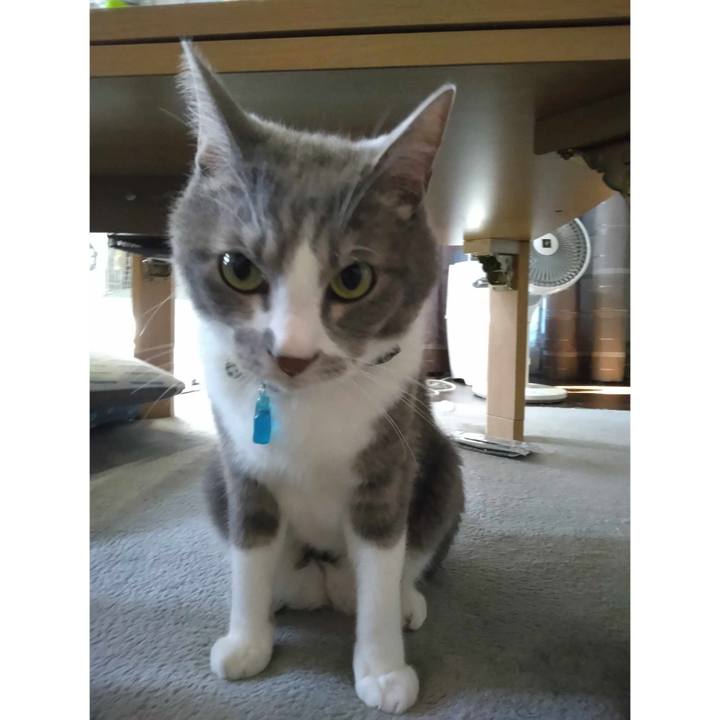 B5dbc900 4789 4f83 b9fc 3373a121e1a1 1690237550603