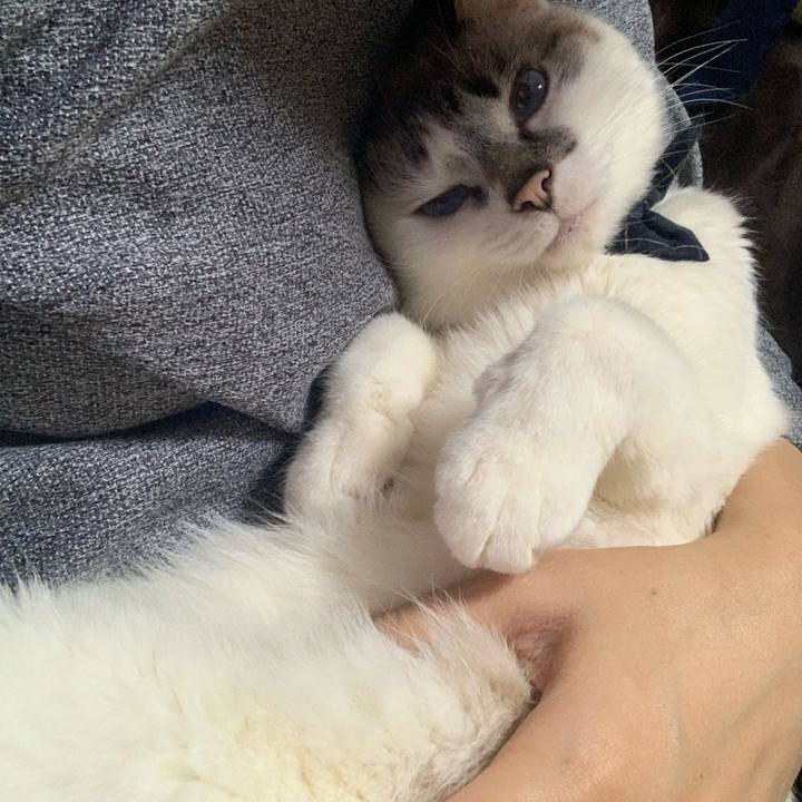 B5dbce1c 1a75 4c48 acfd 6d5f1cae4f45 1584624438939