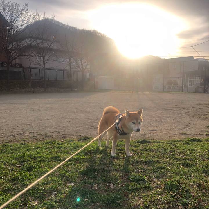 B5dbea29 6cb7 44b5 9f24 6eb65b64a5ab 1555583305715