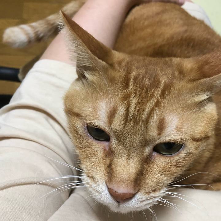 B5dbf17a 5080 4ee5 b311 7350211181e5 1633773309961