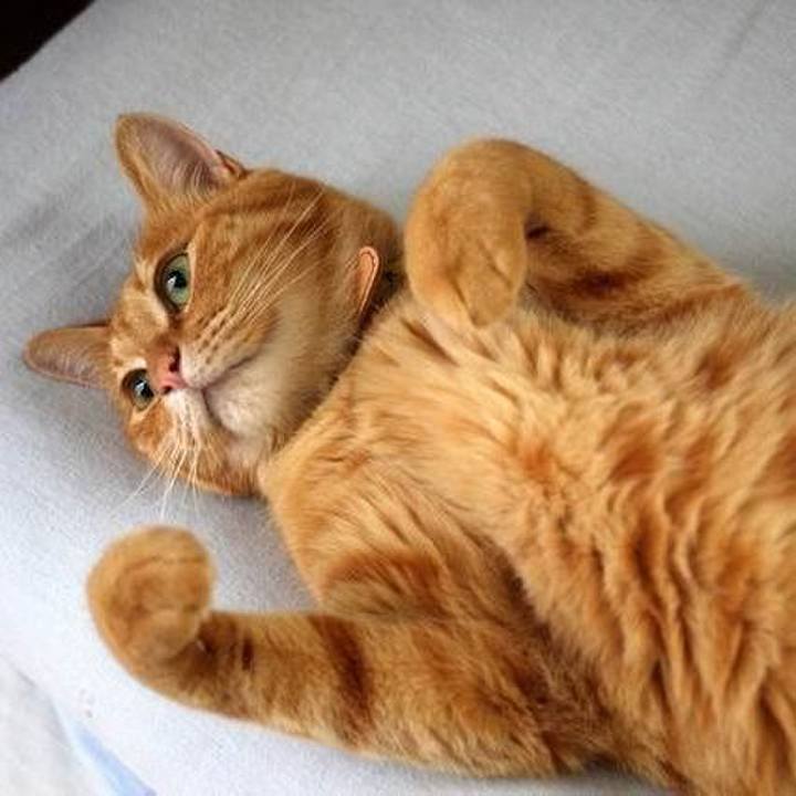 B5dc15e9 a9fc 4c2d 870b c05800606582 1723164616192