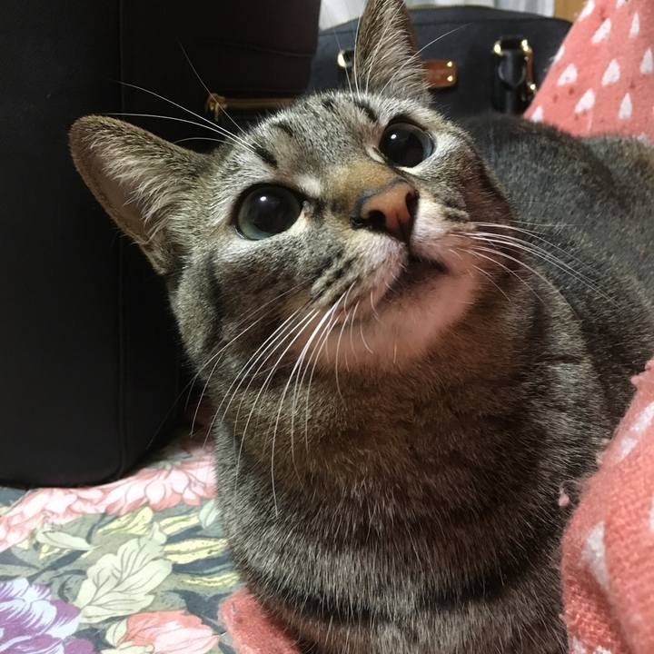 B5dc1dd9 6747 407f 9c57 13de21b7b43f 1511529912173