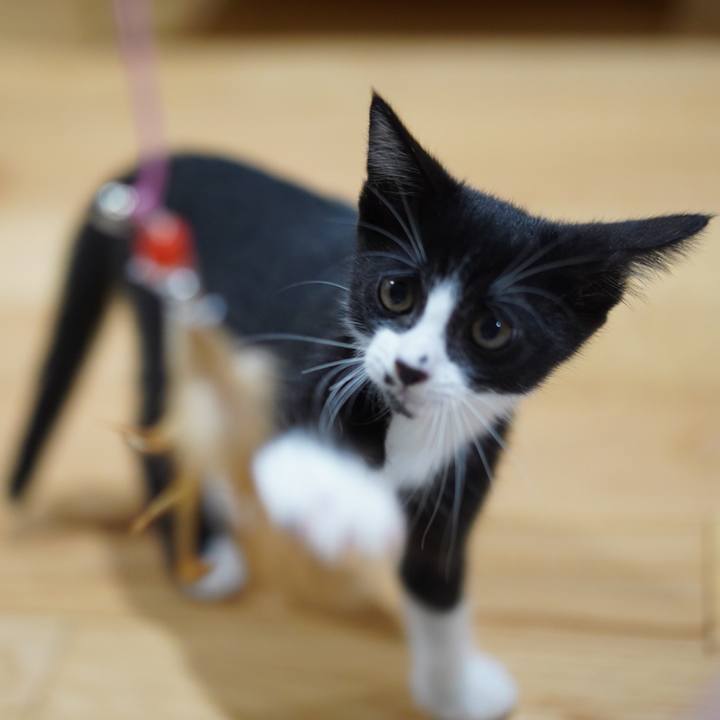 B5dc45c5 174b 4c70 8267 a605ac8a6b26 1568127855303