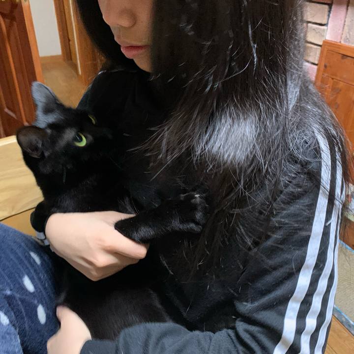 B5dc485a 3256 4603 9c15 352146516e9e 1608814040261