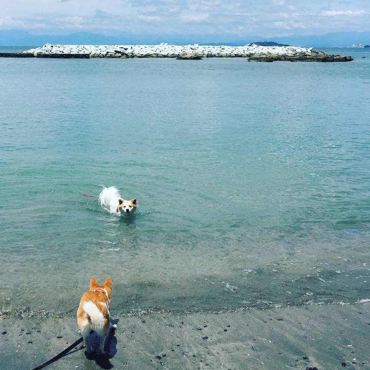 B5dc4aba 3cfa 4286 85a0 71fdc531c605 1546174565626