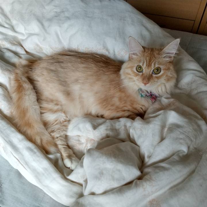 B5dc6124 6925 4dc6 a6f6 3e900ccd4dd6 1630716956983