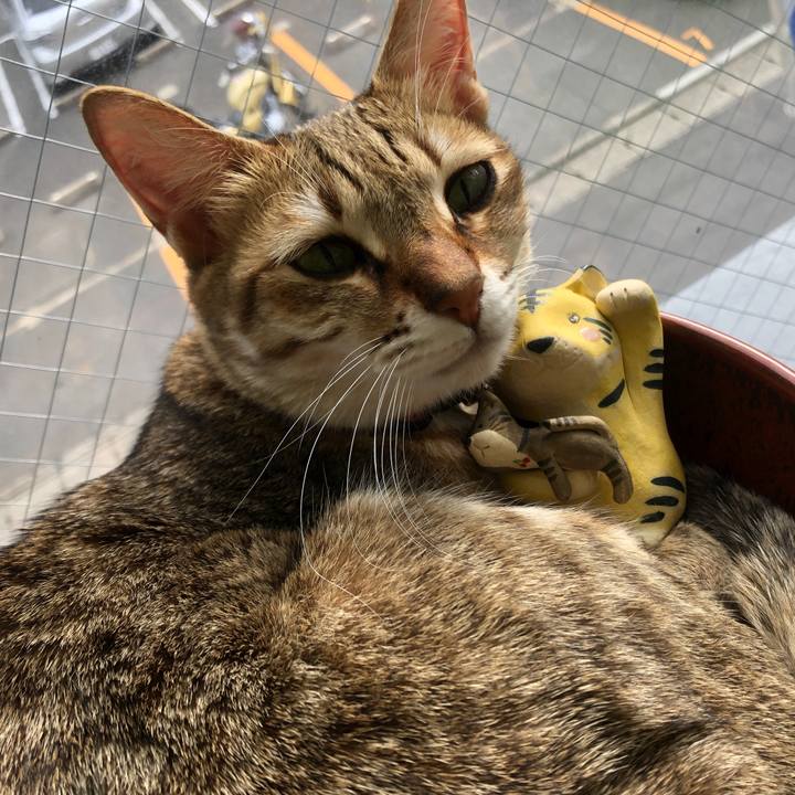 B5dcb4b6 1c2f 417b a003 9a688e9be8f9 1640004293010