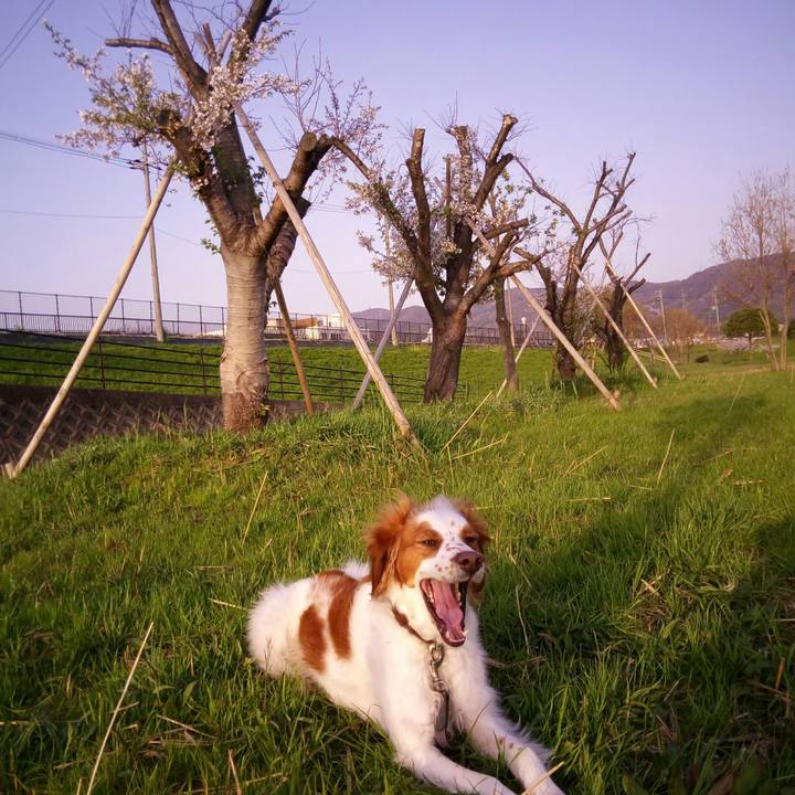 B5dceb73 4508 4c80 9450 828586c03453 1522487643498