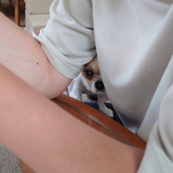 B5dd1fe7 1e12 4892 85d7 9754d4b1c5b9 1658400111415