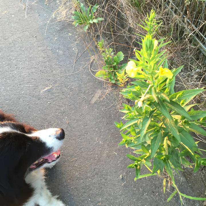 B5dd70fc 6157 4040 a2b9 af70a8820aad 1531515333865