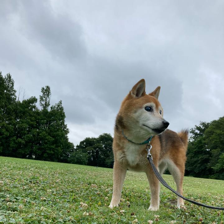 B5dd79cf 8fcb 4715 a1ef 9579598a651c 1752217794550