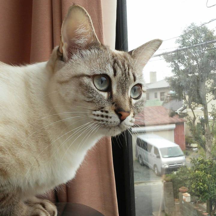 B5dda8f7 a2b8 4878 8b45 fbe762889feb 1512609001938