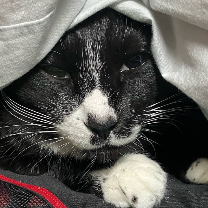 B5ddb9b8 2bf1 4d1e acce fdfdf3681114 1768620475206