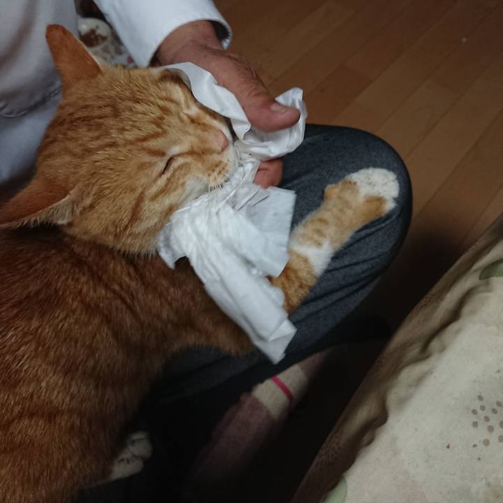 B5ddbce6 0a5d 4d52 b0e3 f8b7fec616df 1601588525811