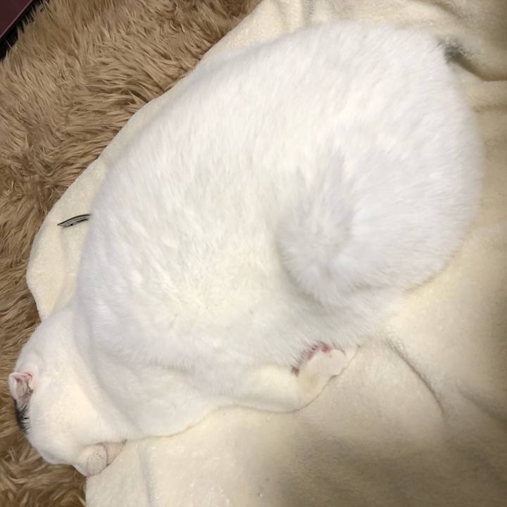 B5ddc4d7 e868 410a bfba 2ee32620ad8a 1578916151948