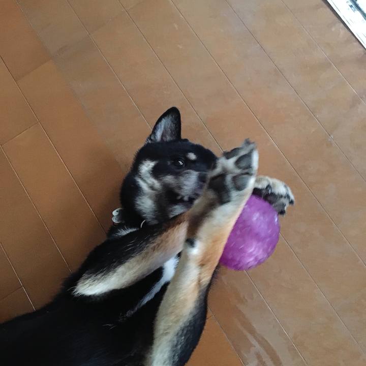 B5dddcf3 aa6e 436b 90be 62656fbc7403 1533477933114