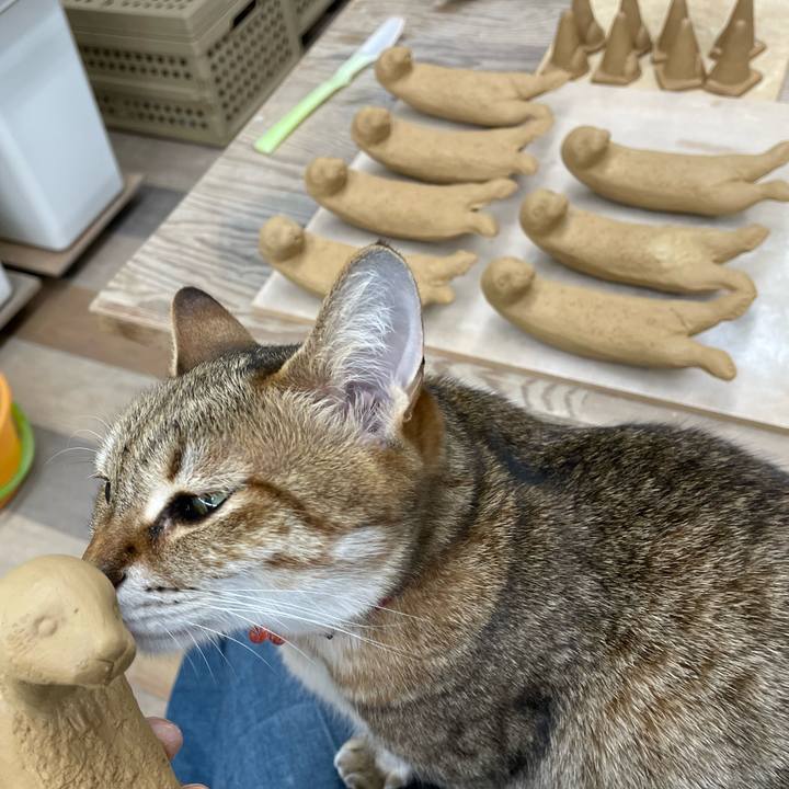 B5de0621 39df 4022 b450 0239404b4893 1711206711677