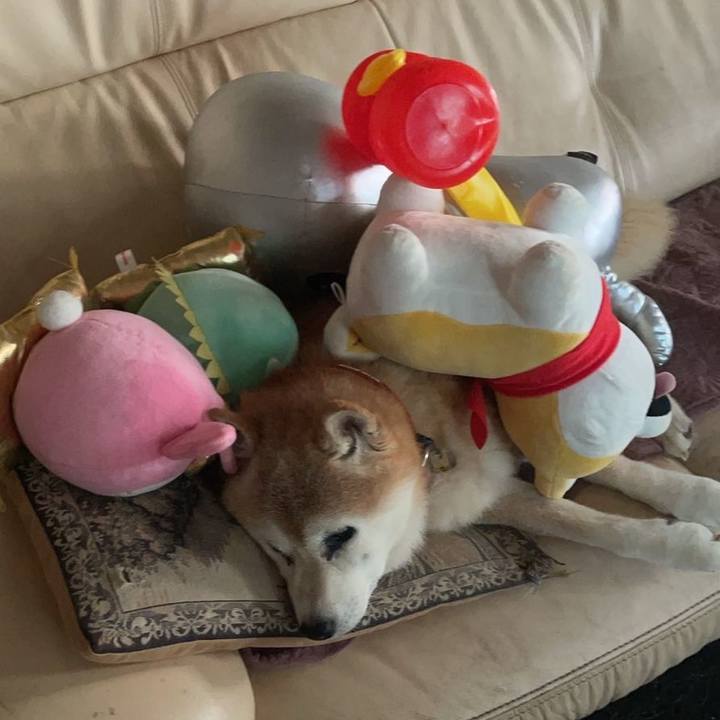 B5de3195 2ab2 46a2 bf10 16d11516f506 1756193995821