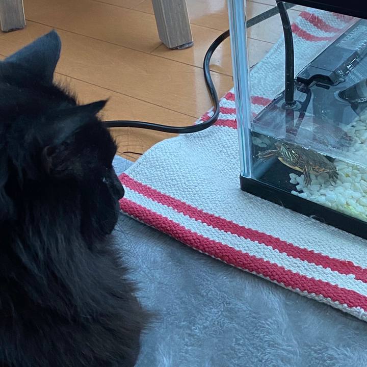 B5de4e9c d4e5 4408 a9dd c1eb31ced9a6 1646199704542