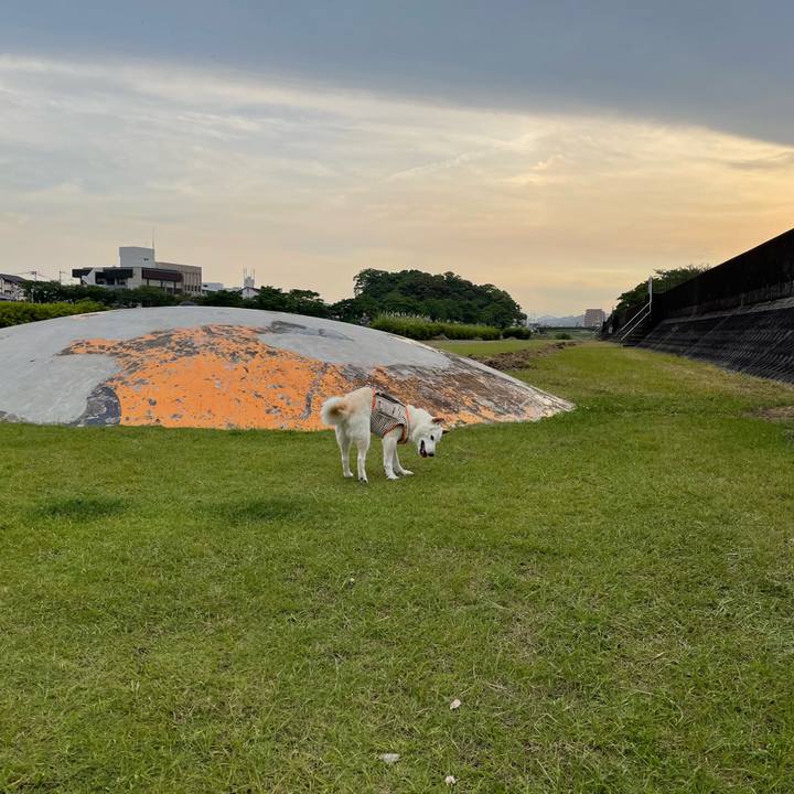 B5de6187 afc6 4a8e b816 da9959e011a2 1655044322884